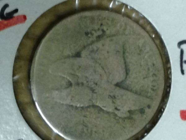 The-100-Days-Of-19th-Century-US-Coins-Plus-64-Days-Of-20th