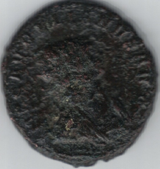 Just-What-Happened-Here?--Auralian-Bronze