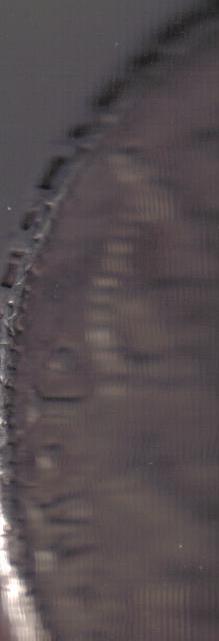 8-Reales-Edge-Question