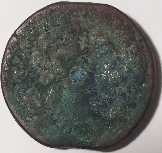 Need-Help-Iding-2-Ptolemaic-Bronze-Coins