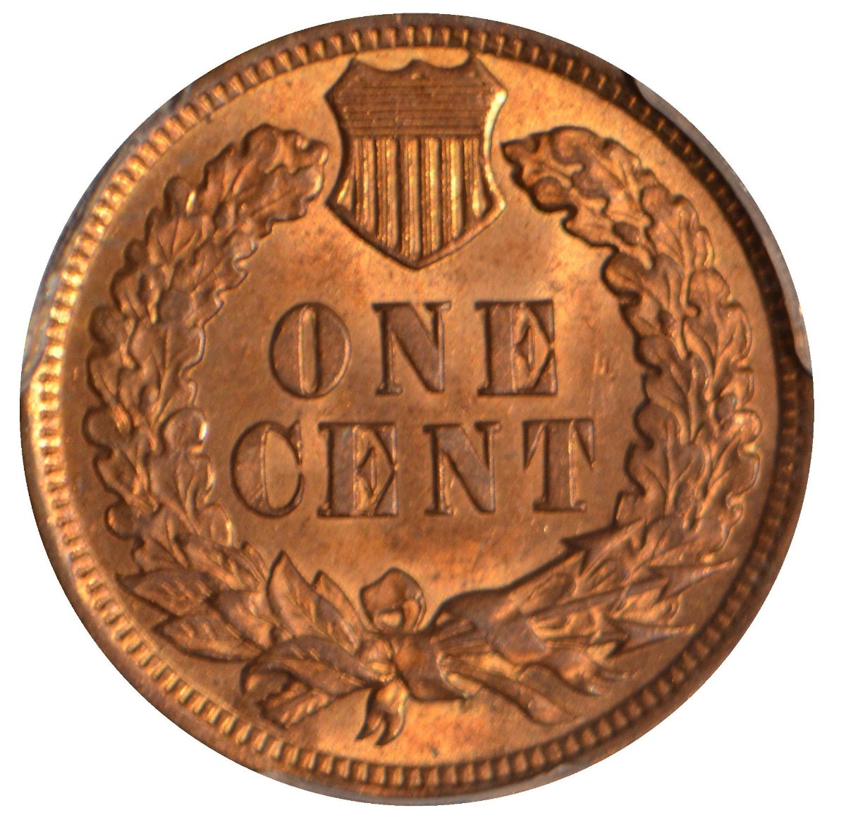 Indian-Cent-Monday-Post-Your-Pics.