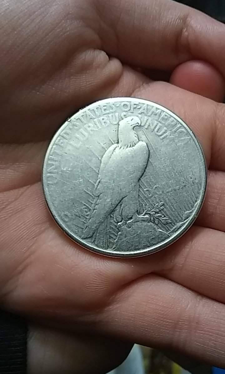 Can-Someone-Tell-Me-If-This-Coin-Is-Real-Or-What-Kind-Of-Coin-I-Have,-Peace-Dollar