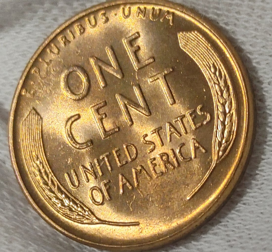 How-Would-You-Grade-This.1958-D-Wheat-Penny?