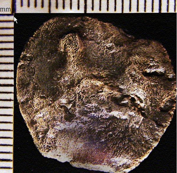 Need-Help-In-Determining-If-This-Is-Real-Julius-Caesar-Coin!
