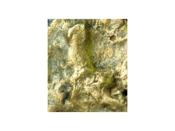 Need-Help-In-Determining-If-This-Is-Real-Julius-Caesar-Coin!