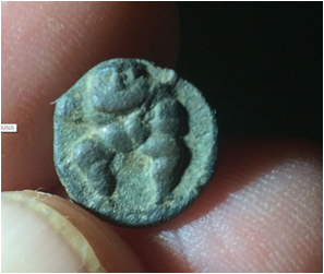 Mystery-Blob-Coin