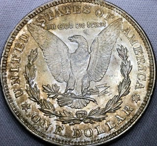 1921-Morgan-Dollar-For-Grading