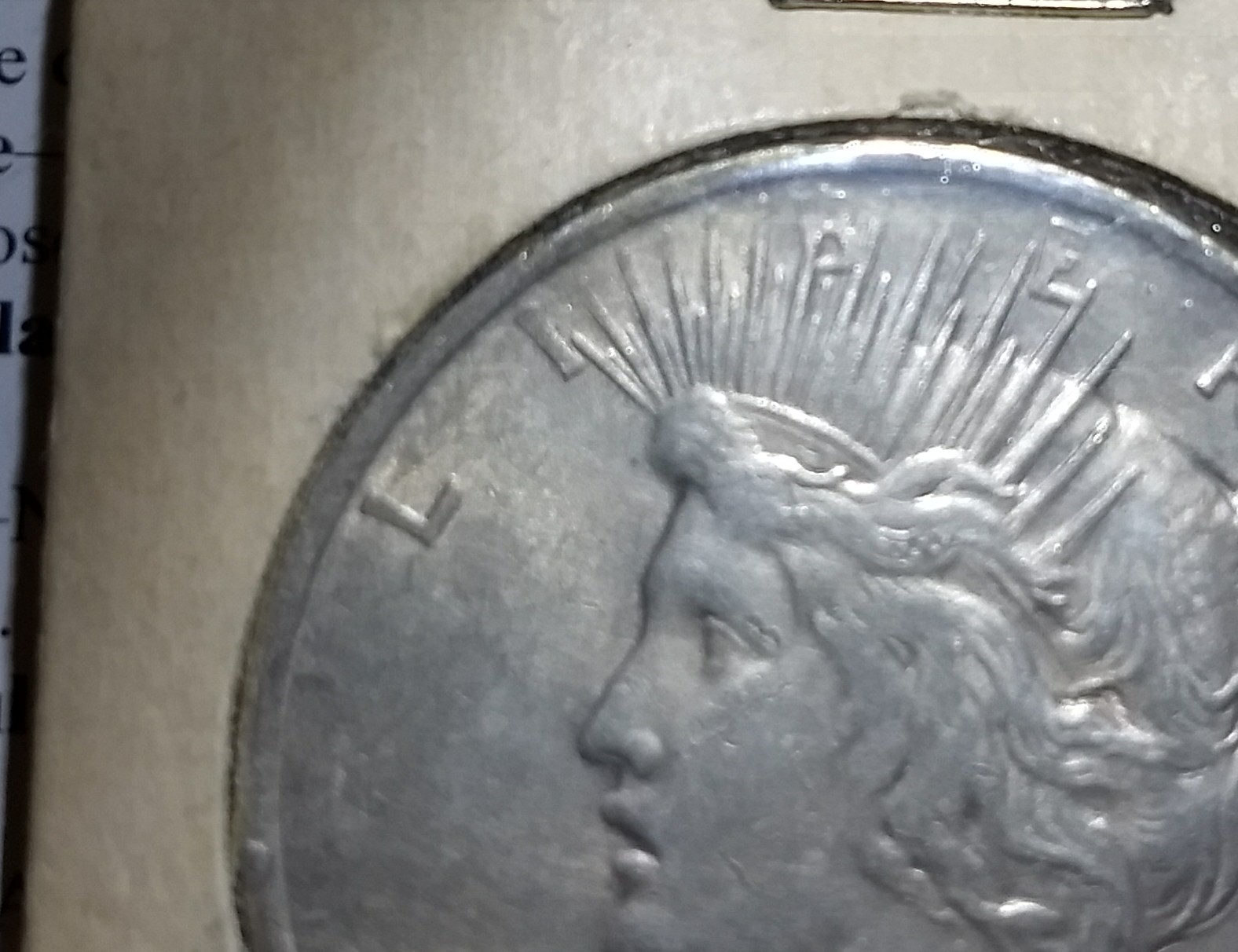 Possible-Error-On-1923-Peace-Dollar