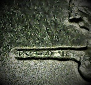 Interesting-Specimen,-Quarter,-Tripling?