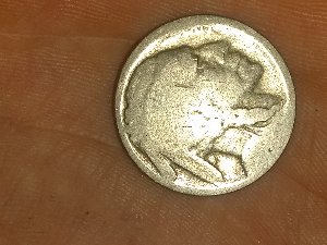 Indian-Head-Buffalo-Nickel...-No-Date