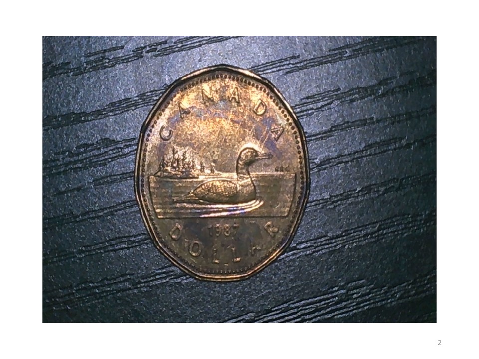Any-Of-These-Worth-Keeping?
