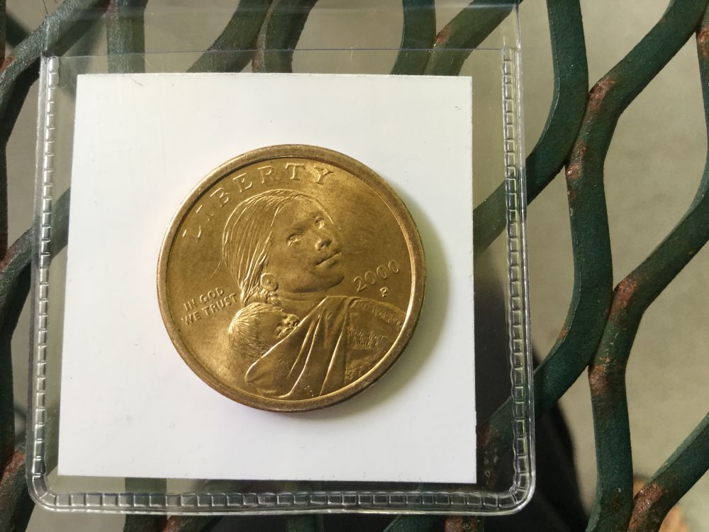 2000-P-Sacagawea-Strange/Amazing-Petipa,-Color,-And-Texture