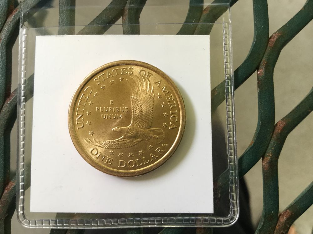 2000-P-Sacagawea-Strange/Amazing-Petipa,-Color,-And-Texture