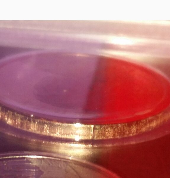 Question/Oddity/Error?-2019-S--Na-Coin-Edge-Lettering-Weakness/Missing