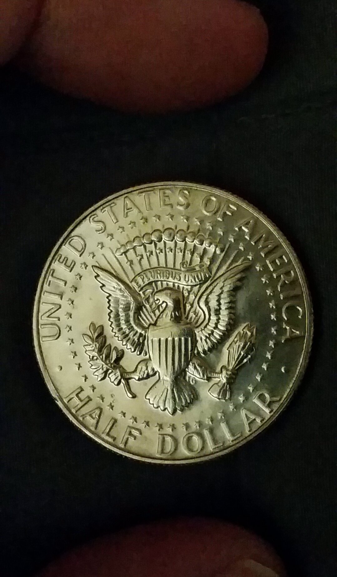 My-First-Hunt-Of-2020-Finds
