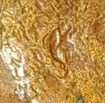Need-Help-Determining-If-There's-A-Double-Ear-On-This-1988-Lincoln-Cent