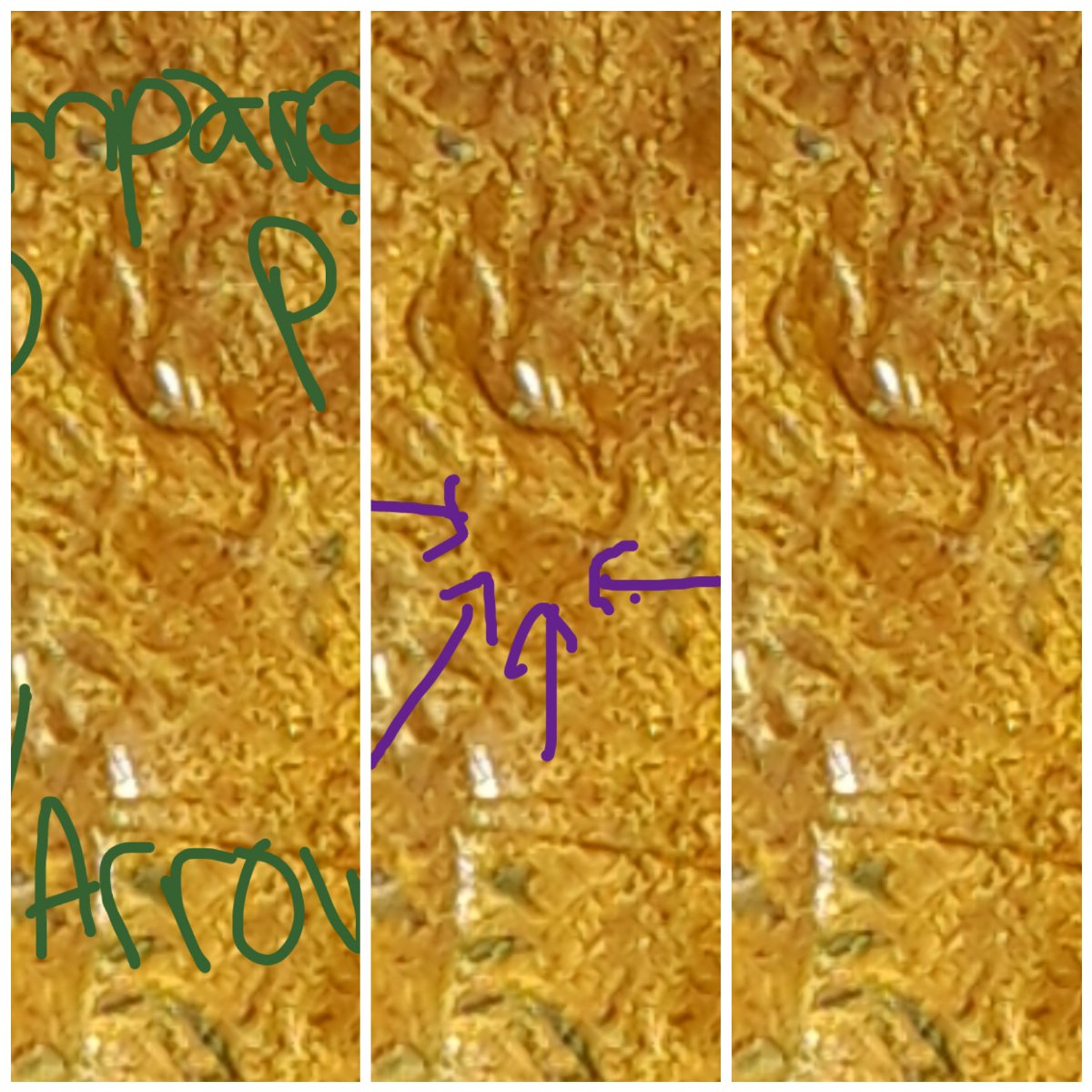 Need-Help-Determining-If-There's-A-Double-Ear-On-This-1988-Lincoln-Cent