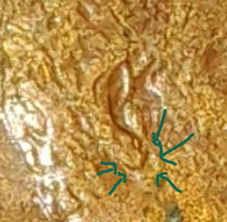 Need-Help-Determining-If-There's-A-Double-Ear-On-This-1988-Lincoln-Cent