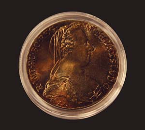 Continuing-List-To-Show-Everyones-Latest-Acquisitions