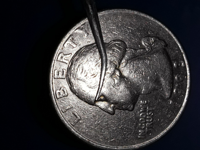 1993-P-Quarter-With-No-Ridges-Reeding