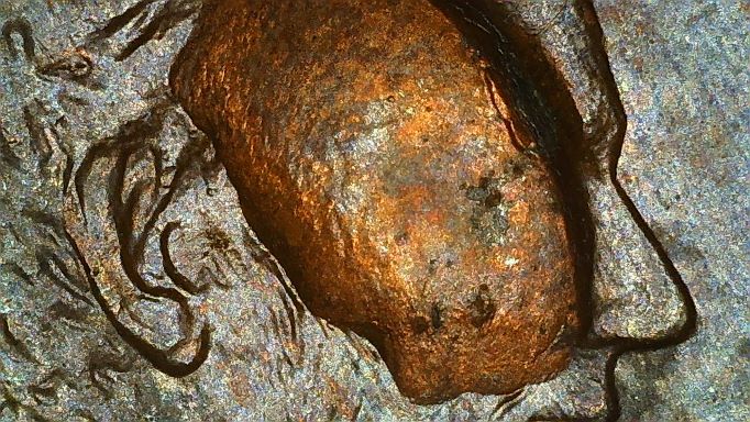 2005-One-Cent-With-Damaged-Face