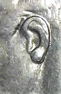 The-1988-Dime-With-The-Double-Lower-Ear-Possible