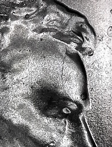 2016-D-LSC-With-Crack-Skull