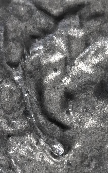 1983-D-LMC.-Is-This-DD-Ear-Lobe?-Helps-Please