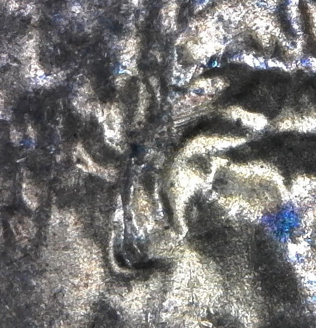 1983-D-LMC.-Is-This-DD-Ear-Lobe?-Helps-Please