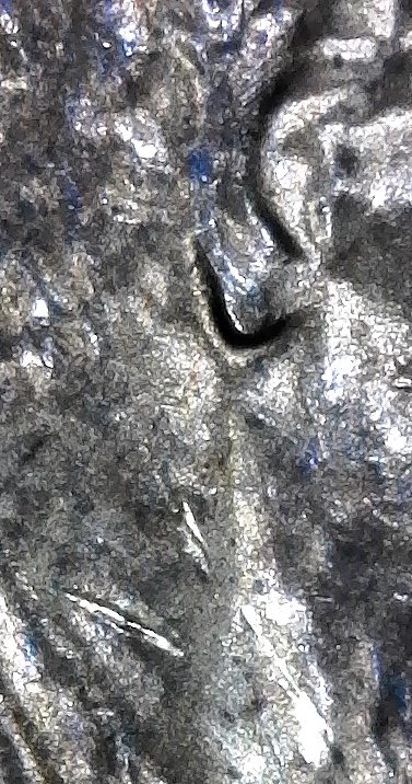 1983-D-LMC.-Is-This-DD-Ear-Lobe?-Helps-Please
