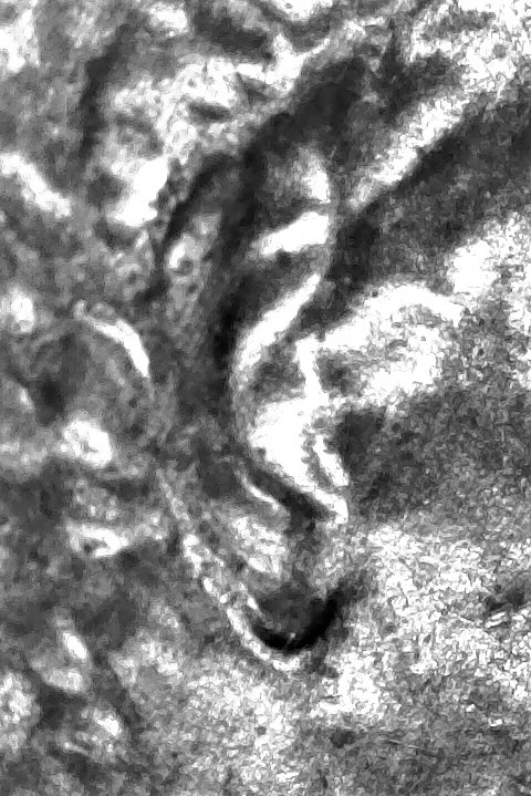 1983-D-LMC.-Is-This-DD-Ear-Lobe?-Helps-Please