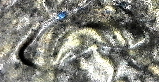 1983-D-LMC.-Is-This-DD-Ear-Lobe?-Helps-Please