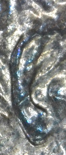 2004-D-LMC.-This-Ear-Lobe-Is-Normal-Design?