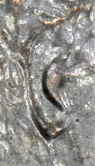 1986-D-LMC.-Is-This-Normal-Ear-Or-DD?