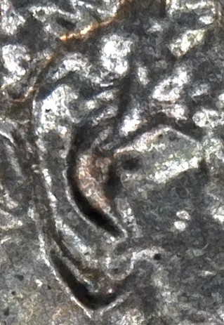 1986-D-LMC.-Is-This-Normal-Ear-Or-DD?