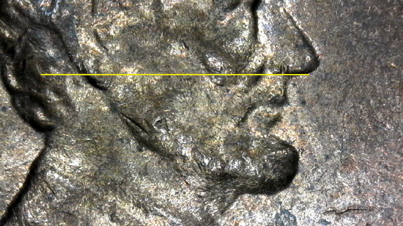 1982-LMC-LD-Zinc.-Is-This-Consider-DD-Ear?