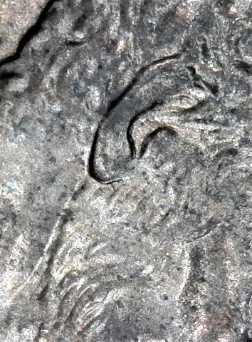 2003-D-LMC.-Is-This-DD-Ear-Or-Just-MD?