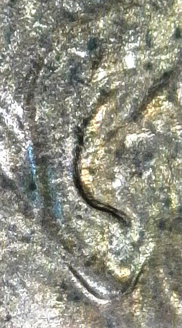 2003-D-LMC.-Is-This-DD-Ear-Or-Just-MD?