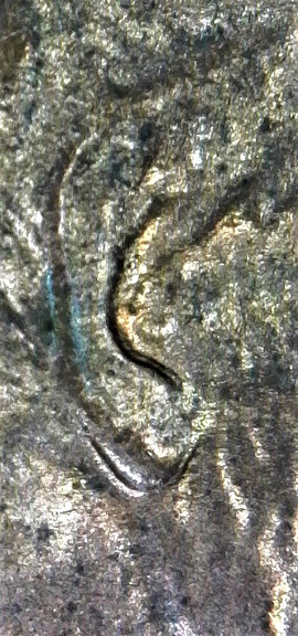 2003-D-LMC.-Is-This-DD-Ear-Or-Just-MD?