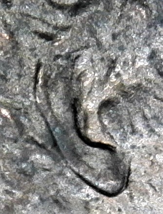 2003-D-LMC.-Is-This-DD-Ear-Or-Just-MD?