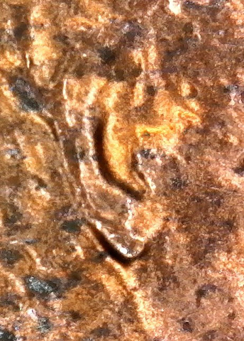 1985-D-LMC.-Is-This-Enought-To-Count-DD-Ear-Lobe-Or-Not?-Helps-Please