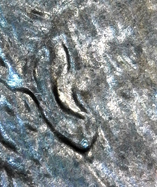 1989-D-LMC.-Is-This-Count-For-DD-Ear-Lobe?-Help-Please