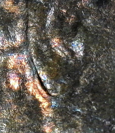 1969-S-LMC.-Is-This-DD-Ear-Lobe-Or-DDO?
