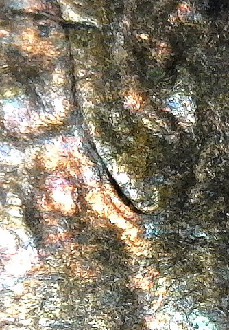 1969-S-LMC.-Is-This-DD-Ear-Lobe-Or-DDO?
