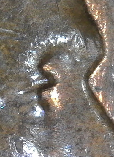 Lg-1960-LMC.-Is-This-Eye-Lid?