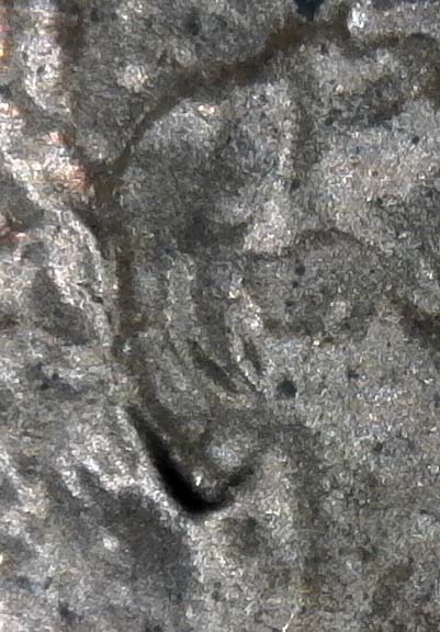 1985-D-LMC.-Is-This-DD-Ear-Or-Just-PMD?-Helps