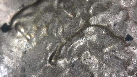 1985-D-LMC.-Is-This-DD-Ear-Or-Just-PMD?-Helps