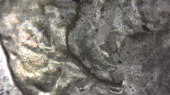 1985-D-LMC.-Is-This-DD-Ear-Or-Just-PMD?-Helps