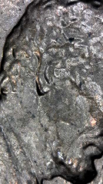 1985-D-LMC.-Is-This-DD-Ear-Lobe?-Masters-Help