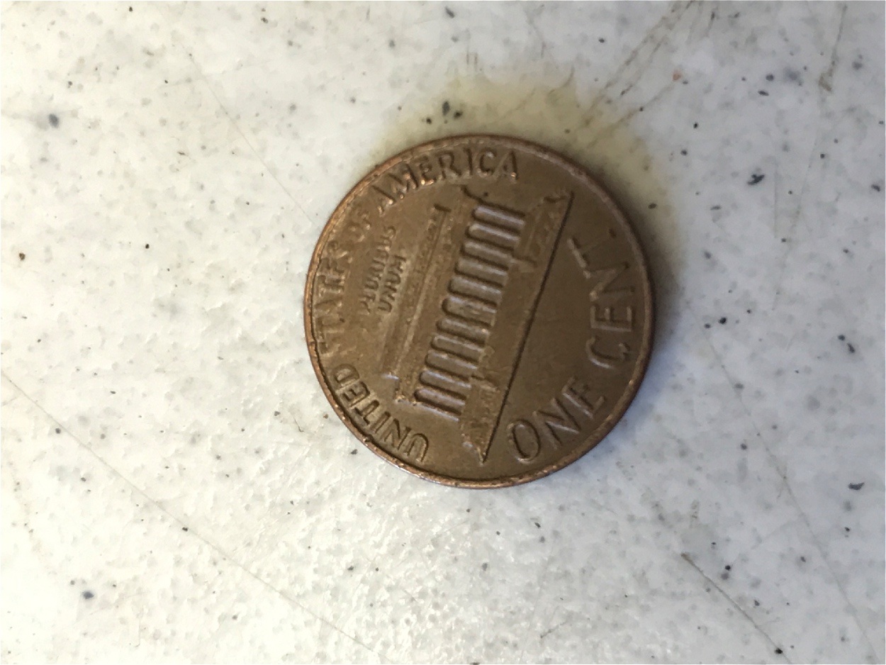 Is-The-Penny-An-Error?